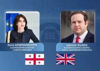 მაკა ბოჭორიშვილი გაერთიანებული სამეფოს სახელმწიფო მინისტრს, სტივენ დაუთის ესაუბრა