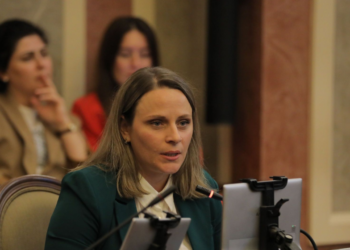 სამშობლოს სიყვარულით არ მართლდება გადამწვარი რუსთაველი – ნათია მოდებაძე