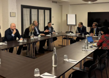 ოპოზიციური პარტიების ლიდერები ევროპარლამენტარებს ხვდებიან