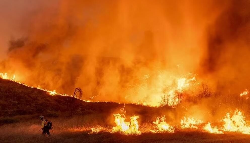 “შვილის მიტოვებაზე უარი თქვა და მასთან ერთად დაიღუპა” -რა ხდება ლოს-ანჯელესში