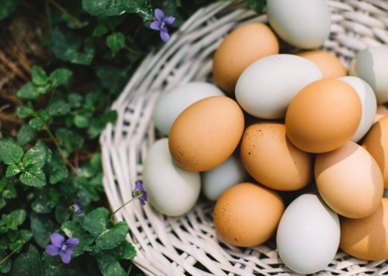 რატომ არის კვერცხი ჯანმრთელობისთვის სასარგებლო?