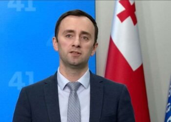 სამწუხაროდ, ევროპარლამენტის დებატებზე წარმოსახვით საქართველოს ვხედავთ, რეალური საქართველო კი სხვაა – ლევან მახაშვილი