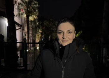 პედაგოგი, მანანა მიქავა პიროტექნიკის სროლის გამო 5 000 ლარით დააჯარიმა