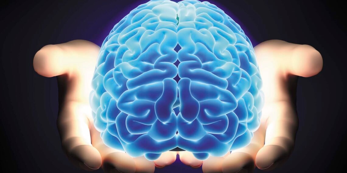 გამოვლინდა ასაკი, რომლის შემდეგაც იწყება ტვინის დაბერება