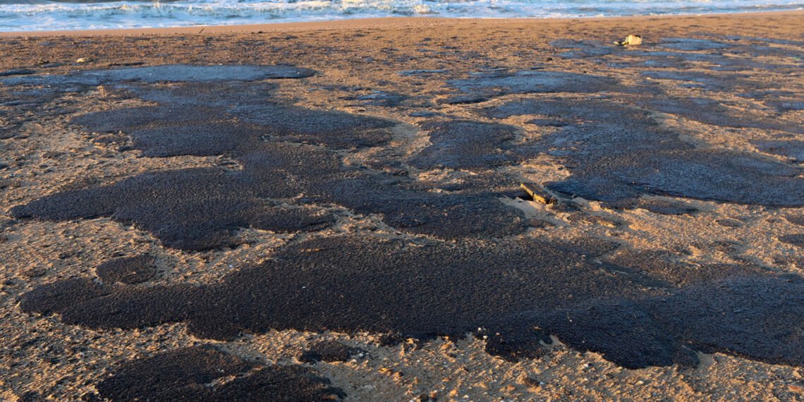 სერიოზული ეკოლოგიური კატასტროფაა, ასეთ გარემოში პრაქტიკულად ვერაფერი ცოცხლობს – რა ვითარებაა შავ ზღვაში