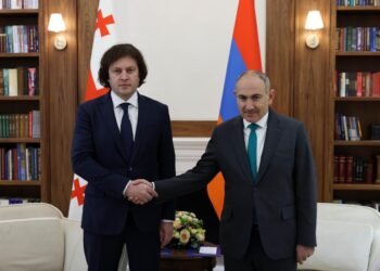 ირაკლი კობახიძე ნიკოლ ფაშინიანს შეხვდა