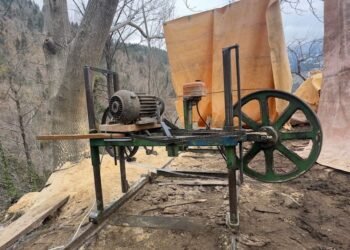 გარემოსდაცვითი ზედამხედველობის დეპარტამენტის თანამშრომლებმა აჭარასა და სამეგრელოში 4 უკანონო სახერხი საამქრო გამოავლინეს