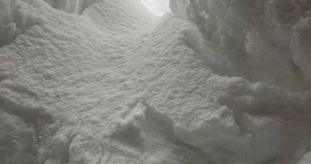 დიდთოვლობას გურიაში მსხვერპლი მოჰყვა