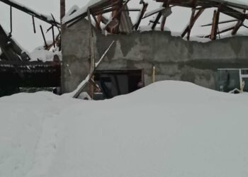 “უსახლკაროდ დავრჩით არასრულწლოვან შვილთან და მოხუც დედასთან ერთად”