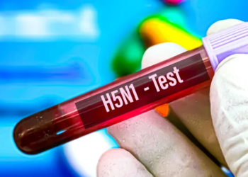 ფიქსირდება ადამიანების ინფიცირების შემთხვევებიც – მაია ბუწაშვილი ფრინველის გრიპზე