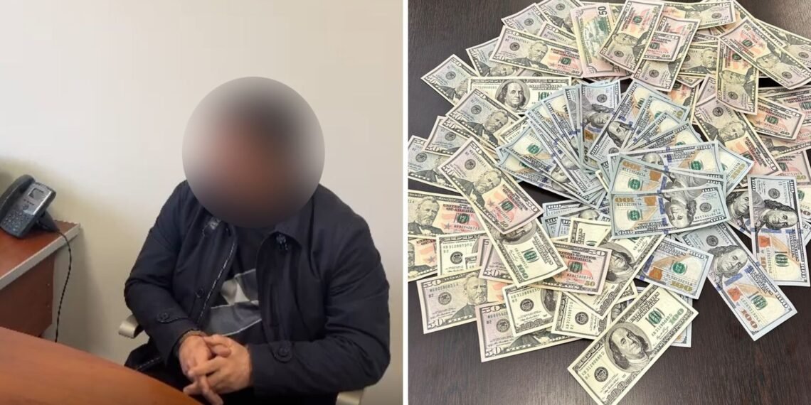 საგამოძიებო სამსახურმა ყალბი ფულის გასაღების ფაქტზე ერთი პირი დააკავა