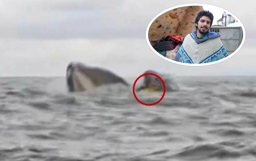 თვალები დავხუჭე, ვიგრძენი ლორწოვანი ქსოვილი – რას ჰყვება ბიჭი, რომელიც ვეშაპმა გადაყლაპა