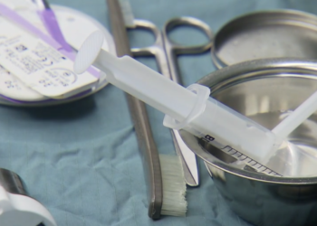 „ყელის, ყურებისა და ყბის არეში რამდენიმე ჭრილობა გაუკეთა“ – რა არის ცნობილი ქართველ კაცზე, რომელიც ავსტრიაში დააკავეს