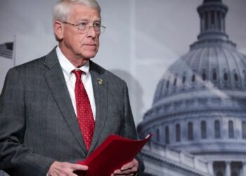 საქართველო გზაგასაყარზე დგას – როჯერ უიკერი