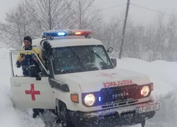 25-26 თებერვალს, ოზურგეთში, ჩოხატაურსა და ლანჩხუთში, ექიმები 81 გამოძახებაზე იმყოფებოდნენ – ჯანდაცვის სამინისტრო