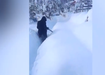 პური არ გვაქვს საერთოდ,  ვერ მოდის ჩვენამდე მანქანა – რა ვითარებაა მეორე სვირში