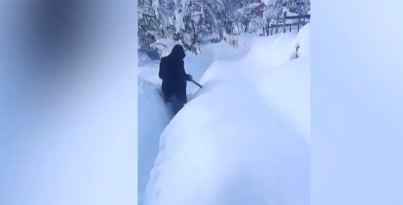 პური არ გვაქვს საერთოდ, ვერ მოდის ჩვენამდე მანქანა – რა ვითარებაა მეორე სვირში