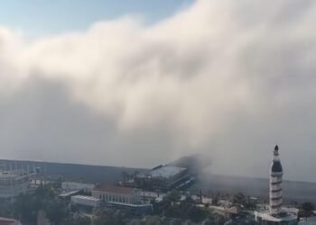 ბათუმში ჰაერი მტვრის ნაწილაკებითაა დაბინძურებული