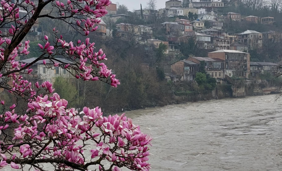 ამინდის პროგნოზი ქალაქების მიხედვით