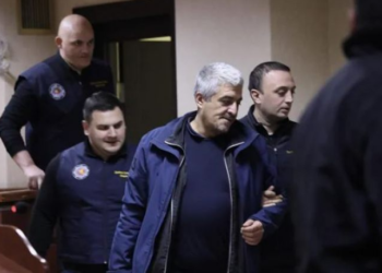 30 000 გადაუხადეს – ბაჩიაშვილის საქმეზე დაკავებულ მძღოლს აღკვეთის სახით პატიმრობა შეეფარდა