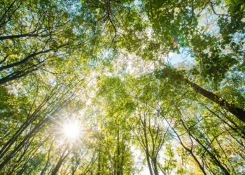 „მარტში სამი განსაკუთრებული დღეა ,როცა სურვილები სრულდება…“ – როგორ ჩავიფიქროთ ის სწორად