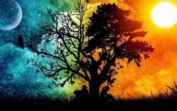 რა უნდა გააკეთოთ 20 მარტს, გაზაფხულის ბუნიობის დღეს