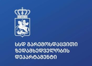 გარემოსდაცვითი ზედამხედველობის დეპარტამენტის თანამშრომლებმა თეთრიწყაროში შველზე ნადირობის ფაქტი გამოავლინეს