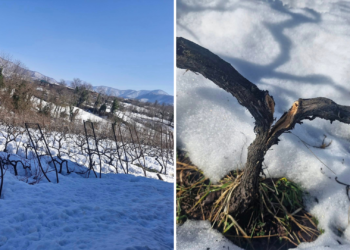 გულის შეტევას ძლივს გადავურჩი ეს სურათი რომ ვნახე – დიდთოვლობის შედეგი იმერეთში