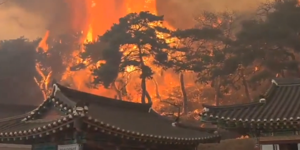 სამხრეთ კორეაში ტყის ხანძარს 18 ადამიანი ემსხვერპლა
