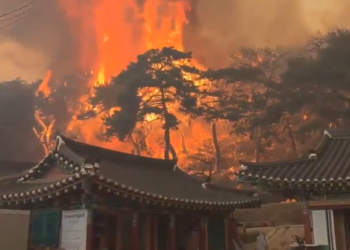 სამხრეთ კორეაში ტყის ხანძარს 18 ადამიანი ემსხვერპლა