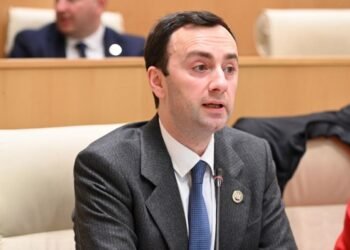 ” მაშინდელმა რეჟიმმა ვერ გაართვა თავი ქვეყნის და არმიის მართვას” – ლევან მახაშვილი