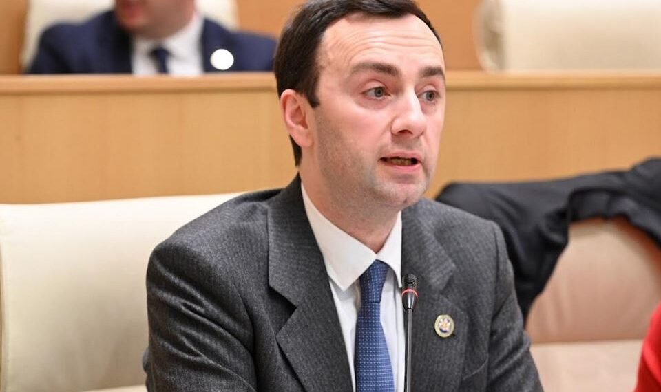 ” მაშინდელმა რეჟიმმა ვერ გაართვა თავი ქვეყნის და არმიის მართვას” – ლევან მახაშვილი