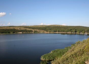 ლისის ტბის ადმინისტრაცია განცხადებას ავრცელებს