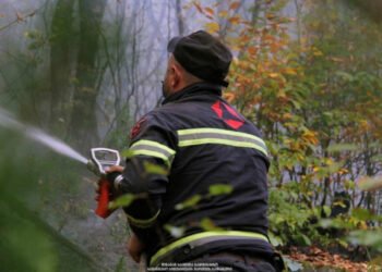 გარემოს დაცვის სამინისტრო საგანგებო ინფორმაციას ავრცელებს