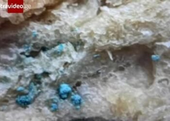 საგარეჯოში, ერთ-ერთ სკოლაში ბავშვები პურით დაიწმლნენ – ვრცელდება ანონიმური  კადრები