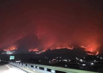 სამხრეთ კორეაში ტყის ხანძარს 4  ადამიანი ემსხვერპლა