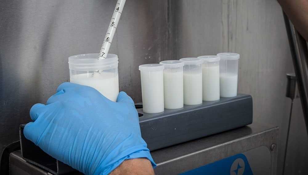 დნმ-ის დაზიანება და სიმსივნის პროვოცირება – რძეში აღმოჩენილი სახიფათო ნივთიერება