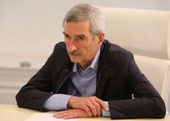 აფლატოქსინების ის რაოდენობა, რაც „სოფლის ნობათის“ რძის ნიმუშებში გამოვლინდა, მწვავე მოწამვლას ვერ გამოიწვევს – პაატა იმნაძე