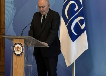 “გვსურს, ჩავერთოთ საქართველოში უსაფრთხოების განმტკიცებისთვის ყველანაირი თვალსაზრისით” – ეუთოს გენერალური მდივანი