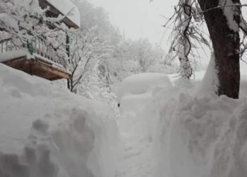 მთავრობამ დიდთოვლობასთან ბრძოლაში ჩართულ საჯარო მოსამსახურეებს ₾3.1 მილიონის დანამატი გამოუყო