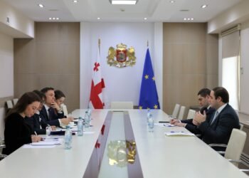 გაეროს განვითარების პროგრამის რეგიონული დირექტორი ლევან ჟორჟოლიანს და საქართველოს მთავრობის ადმინისტრაციას თანამშრომლობისთვის მადლობას უხდის