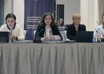 მზია ამაღლობელის ადვოკატები ქუთაისის სააპელაციო სასამართლოს, ადმინისტრაციული სამართალდარღვევის საქმის წარმოების შეწყვეტისაკენ მოუწოდებენ