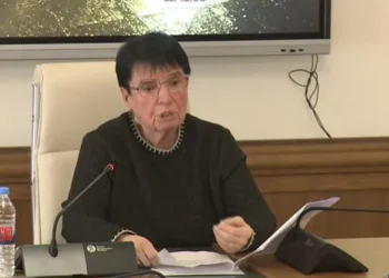 “ჩვენ რაც გადავიტანეთ 26 მაისს, რომელიც წინასწარ მოფიქრებული, დაგეგმილი ოპერაცია იყო, მე მაგას სასაკლაოს ვუწოდებ”- ნონა გაფრინდაშვილი