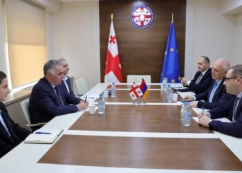 რეგიონული განვითარების მინისტრი სომხეთის ელჩს შეხვდა