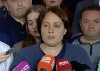 ელენე ხოშტარია და გედევან ფოფხაძე შიმშილობას წყვეტენ