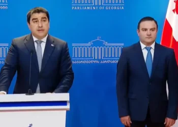 გენერალური აუდიტორის თანამდებობას გიორგი გაბიტაშვილი დაიკავებს