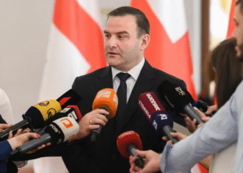 “უსამართლო გადაწყვეტილებასთან მიმართებაში არანაირი უხერხულობის გრძნობა არ გამაჩნია -გიორგი გაბიტაშვილი სანქციებზე