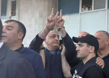 მამუკა ხაზარაძე და ბადრი ჯაფარიძე დააკავეს