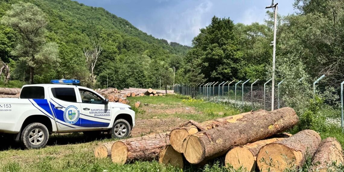 სამცხე-ჯავახეთში დიდი ოდენობით ხე-ტყის უკანონო მოპოვების ფაქტები დამოვლინდა