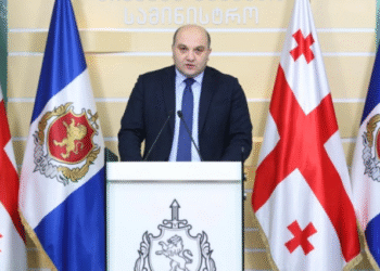 შინაგან საქმეთა სამინისტროში ბრიფინგი  მიმდინარეობს
